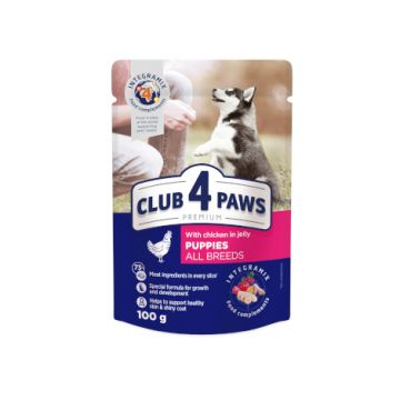 Hrana umeda pentru caini junior, CLUB 4 PAWS Premium, pui in sos, 100g