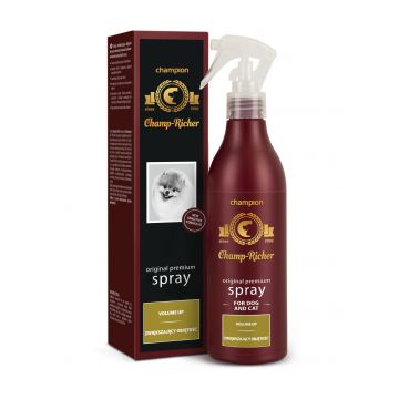 Spray modelator CHAMP RICHER pentru volum, 250 ml