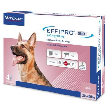 Effipro Duo Dog L 268 mg pipete antiparazitare caini talie mare (20 - 40 kg), 4 pipete