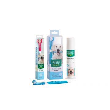 Kit Dental Periuta + Pasta de dint 100 g Dentican, Stangest