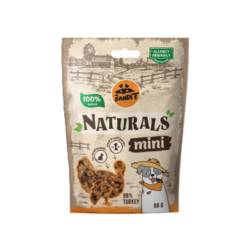 Recompense pentru caini, talie mica, Mr Bandit Naturals Mini, curcan, 80g