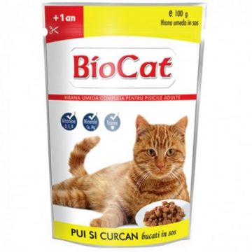 Hrana umeda pentru pisici Biocat cu pui curcan in sos 100 gr Hrana umeda pentru pisici Biocat cu pui curcan in sos 100 gr