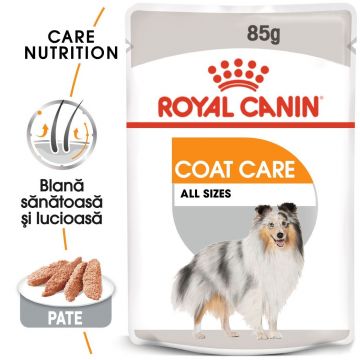 Royal Canin Coat Care Adult hrana umeda caine, blana sanatoasa si lucioasa (pate), 85 g