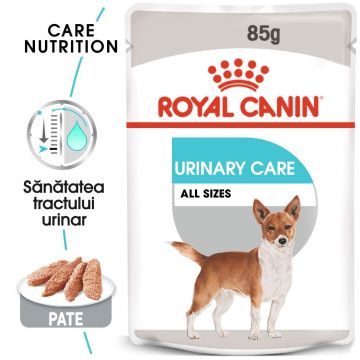 Royal Canin Urinary Care Adult hrana umeda caine, sanatatea tractului urinar (pate), 85 g