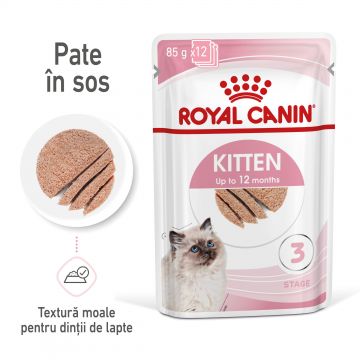 Royal Canin Kitten hrana umeda pisica (pate), 85 g