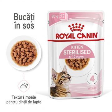 Royal Canin Kitten Sterilised hrana umeda pisica sterilizata junior (in sos), 85 g